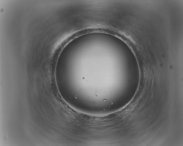 X0000069391311200605192204