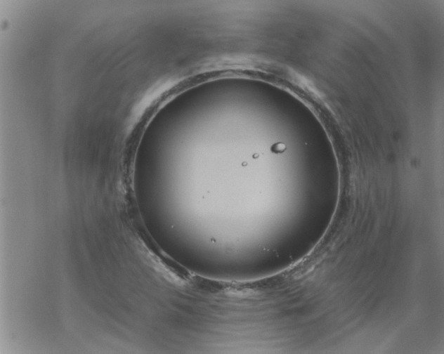 X0000069391312200605192204