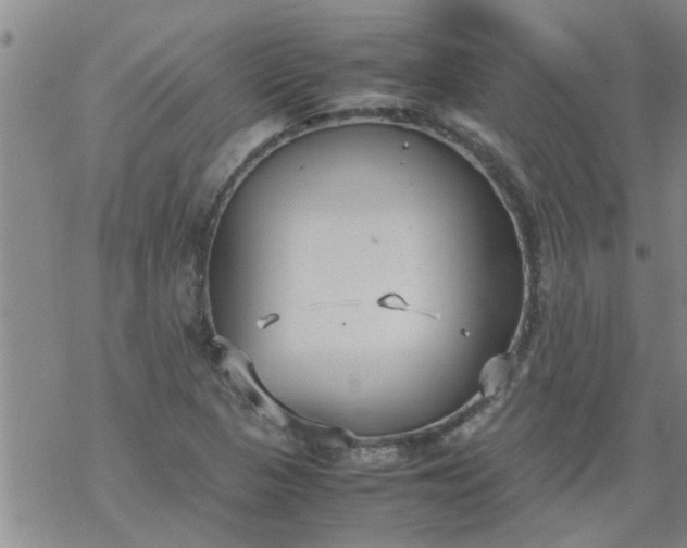 X0000069391313200605192204