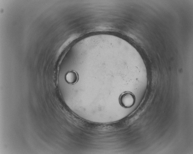 X0000069391314200605192204