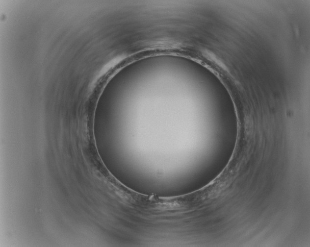 X0000069391315200605192204