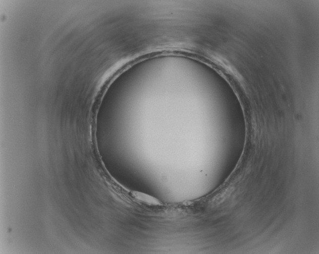 X0000069391316200605192204