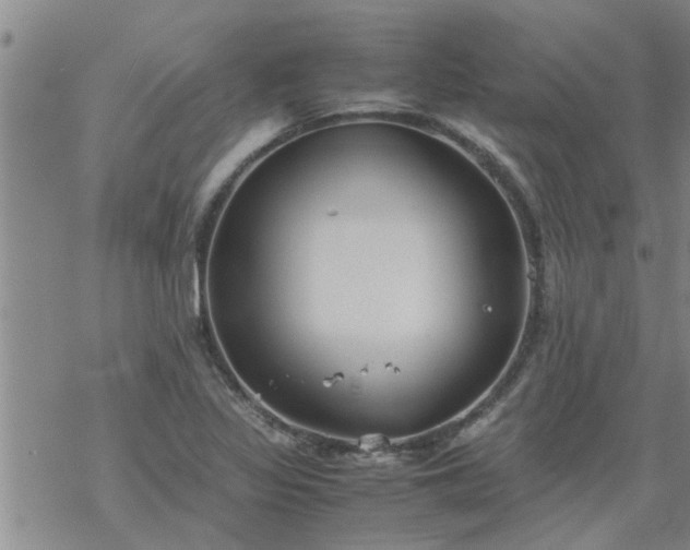 X0000069391317200605192204