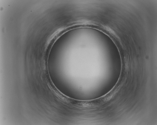 X0000069391318200605192204