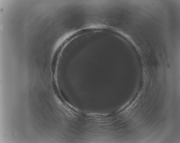 X0000069391319200605192204