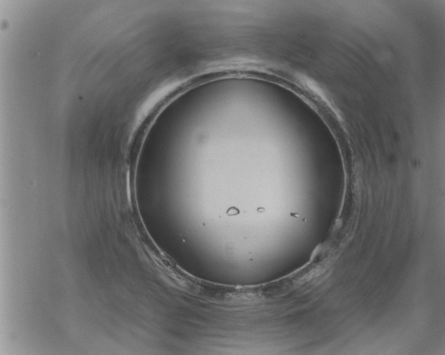 X0000069391320200605192204