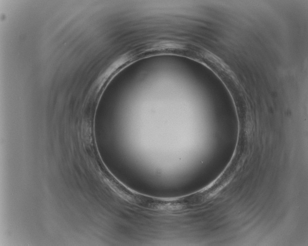 X0000069391321200605192204