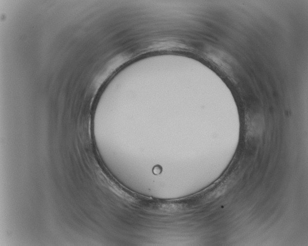 X0000069391322200605192204