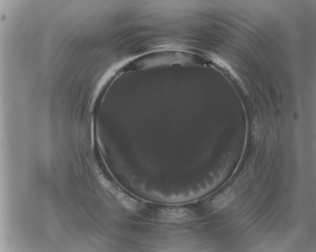 X0000069391323200605192204