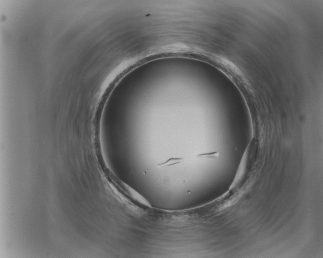 X0000069391326200605192204