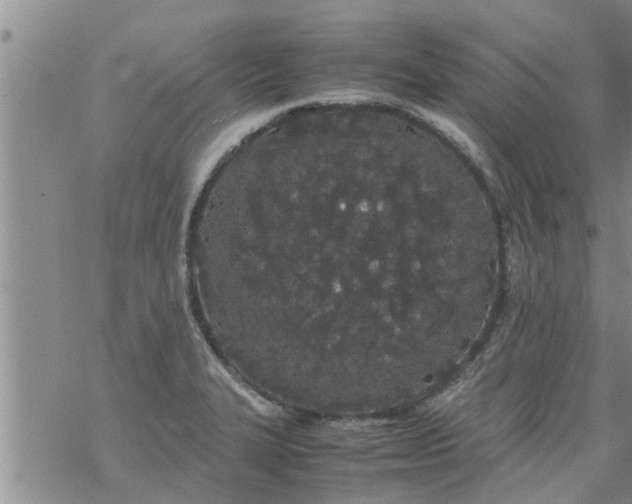 X0000069391327200605192204