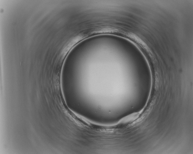 X0000069391329200605192204