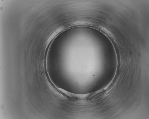 X0000069391330200605192204