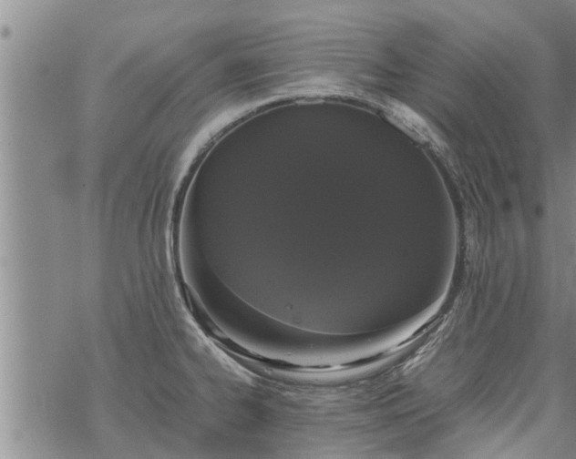 X0000069391334200605192204