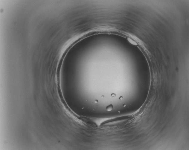 X0000069391335200605192204