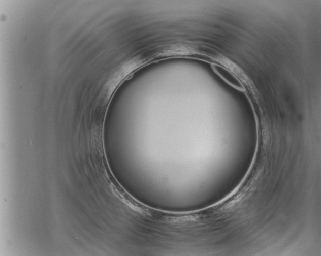 X0000069391337200605192204