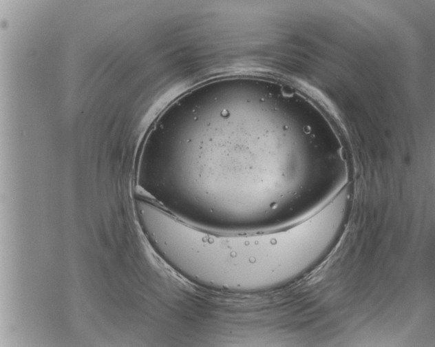 X0000069391338200605192204