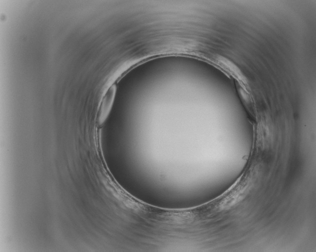 X0000069391340200605192204