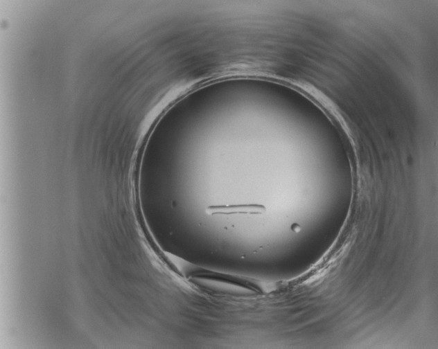 X0000069391341200605192204