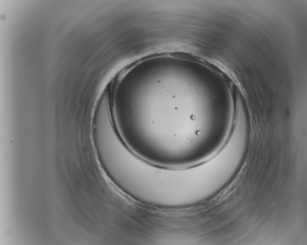 X0000069391342200605192204