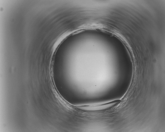 X0000069391344200605192204