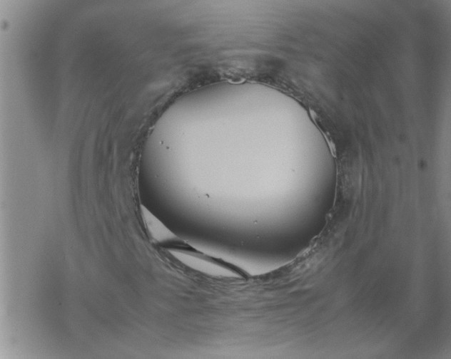 X0000069391345200605192204