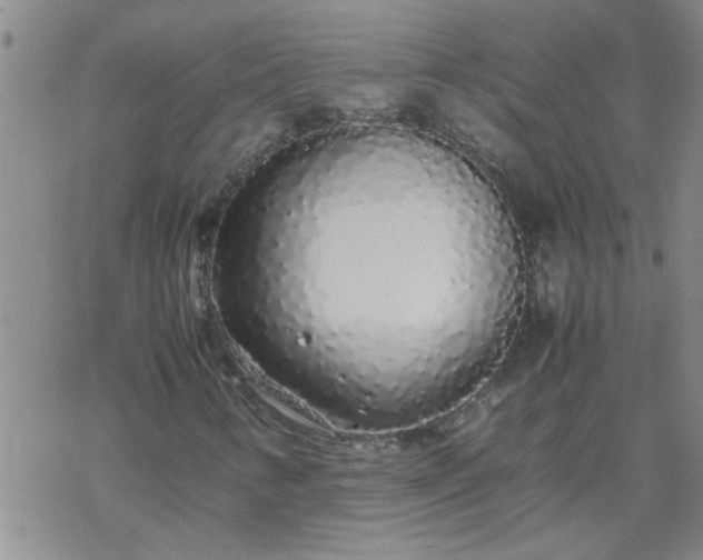 X0000069391346200605192204