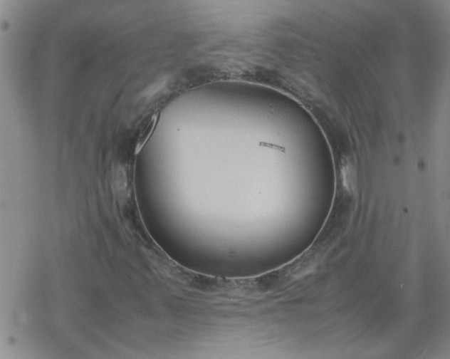 X0000069391347200605192203