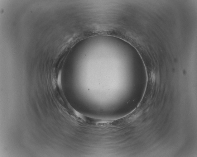 X0000069391348200605192203