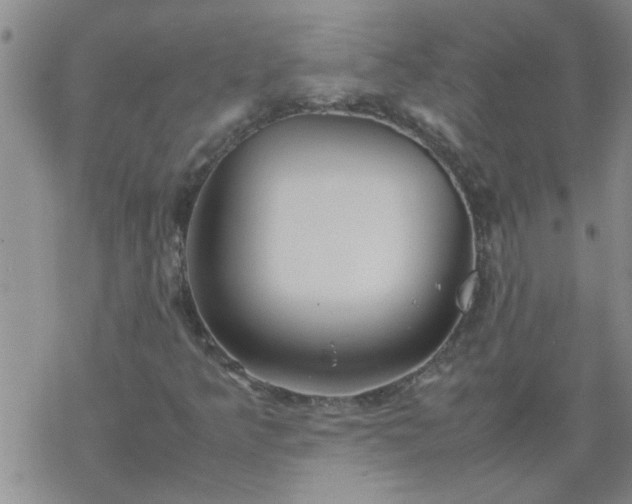 X0000069391349200605192203