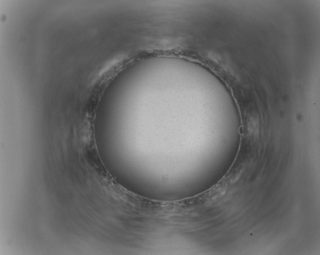 X0000069391350200605192203