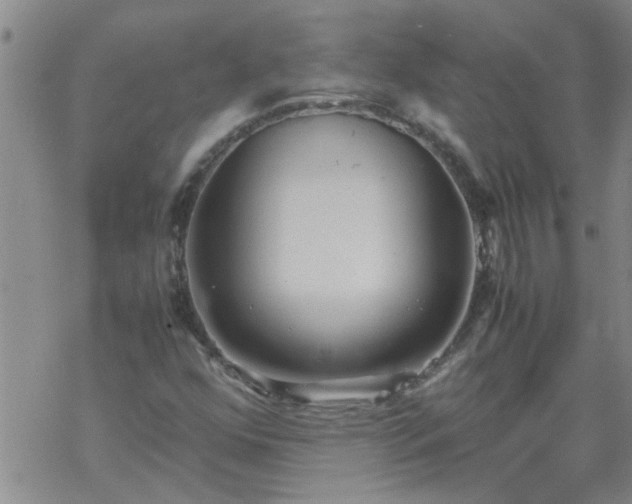 X0000069391352200605192203