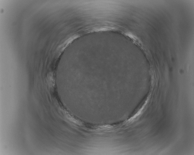 X0000069391353200605192203