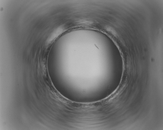 X0000069391354200605192203