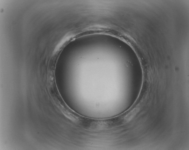 X0000069391355200605192203