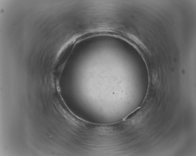 X0000069391356200605192203