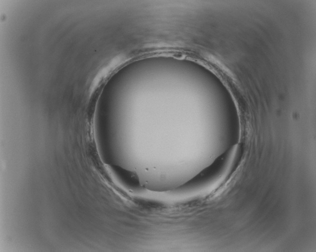 X0000069391357200605192203