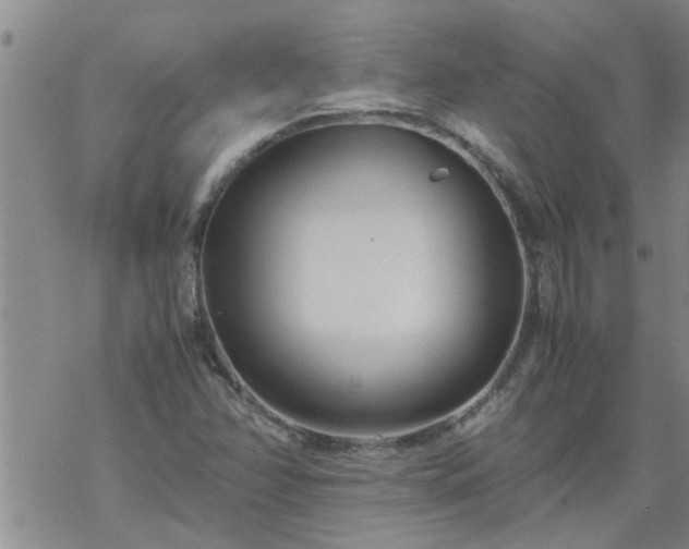 X0000069391358200605192203