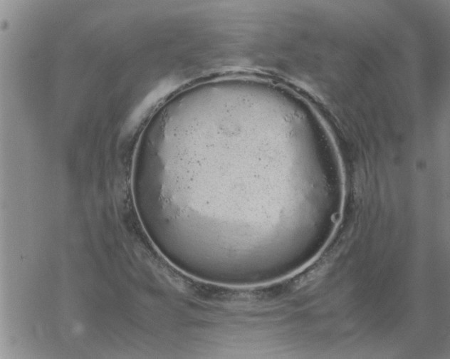 X0000069391359200605192203