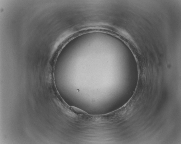 X0000069391360200605192203