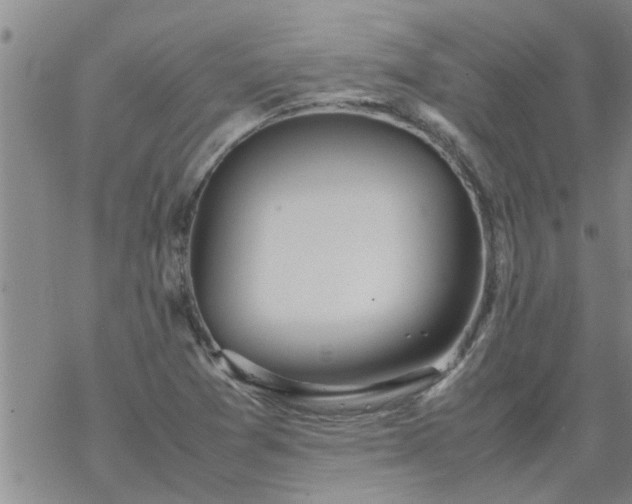 X0000069391361200605192203