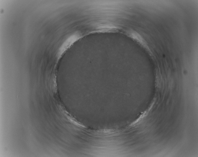 X0000069391362200605192203