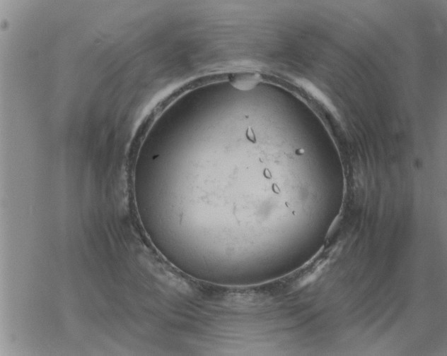 X0000069391364200605192203