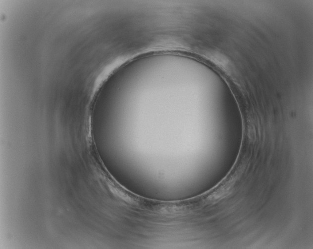 X0000069391366200605192203