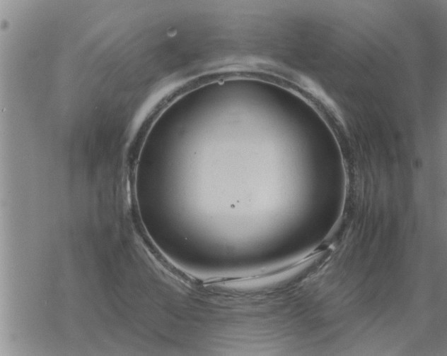 X0000069391368200605192203