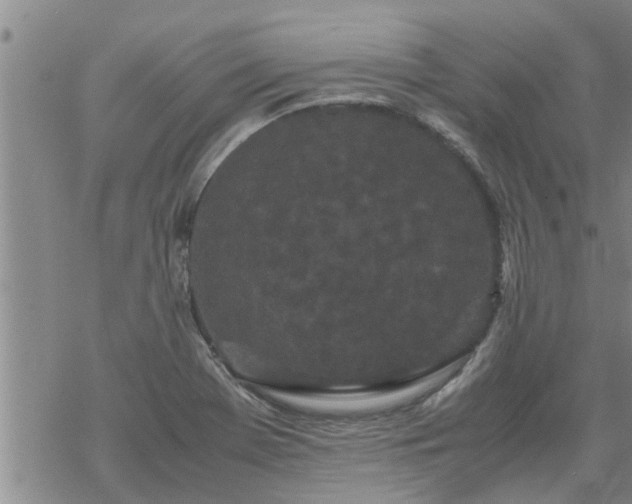 X0000069391369200605192203