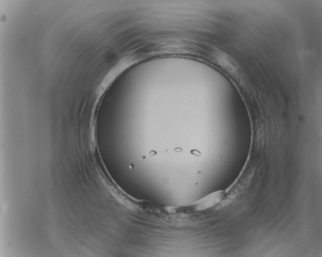 X0000069391370200605192203