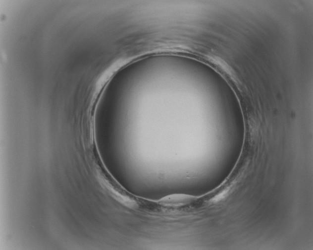 X0000069391371200605192203