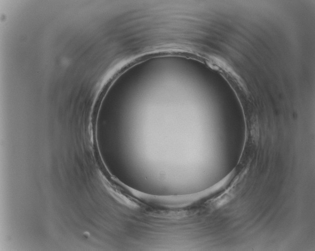 X0000069391372200605192203