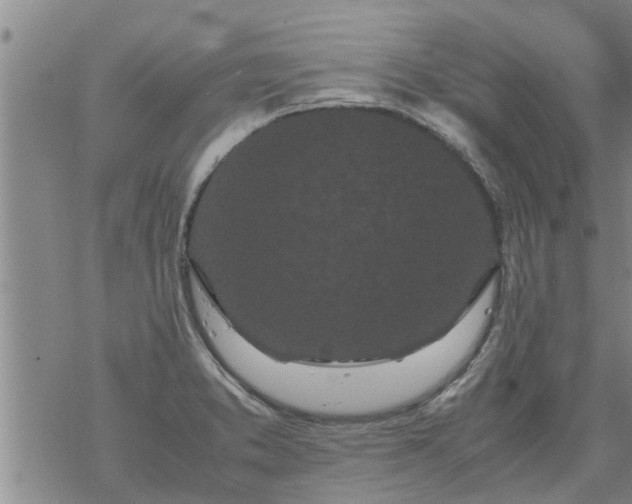 X0000069391373200605192203